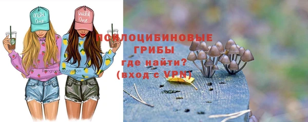 бошки Зеленодольск