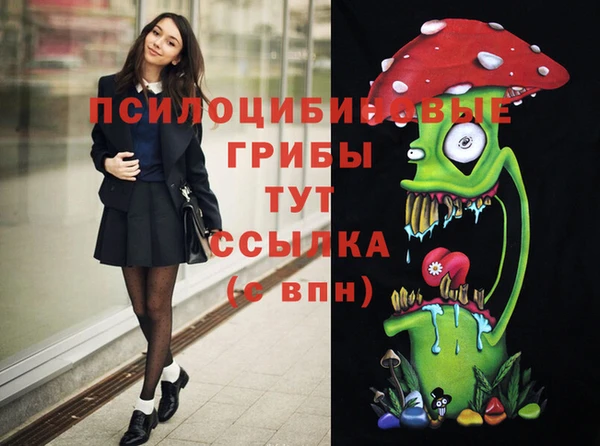 мескалин Заводоуковск