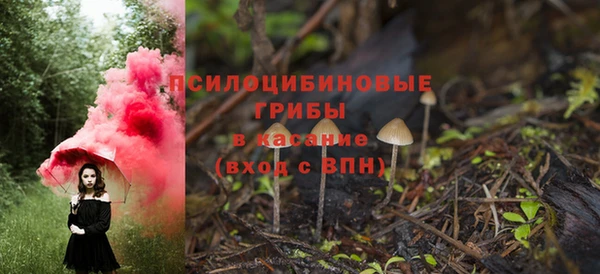 мескалин Заводоуковск
